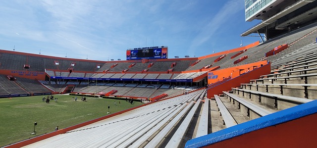 的形式进行 的形式进行