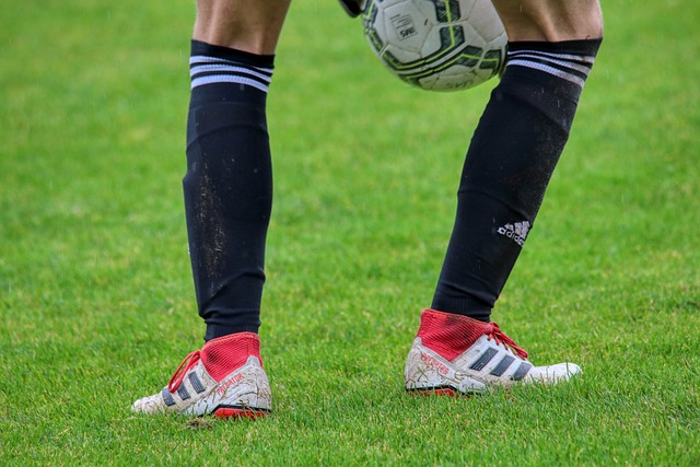 她参与的项 她参与的项